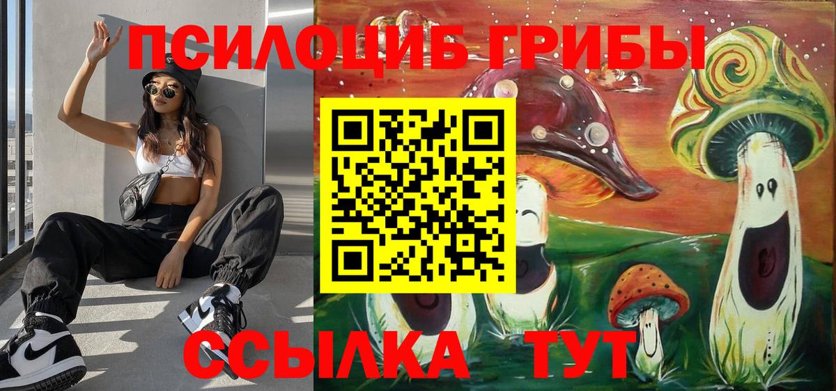 Псилоцибиновые грибы Psilocybe Рузаевка