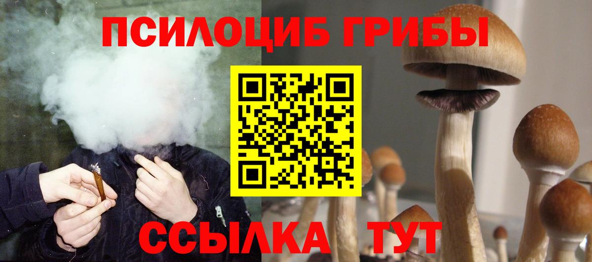 Рузаевка  Псилоцибиновые грибы Psilocybe  Галлюциногенные грибы ЛСД  Вход с VPN 